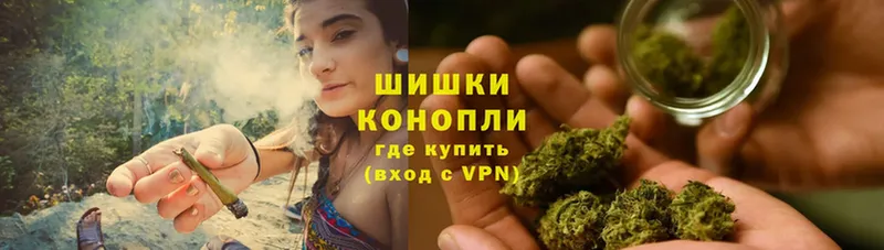 Каннабис OG Kush  Ленинск 